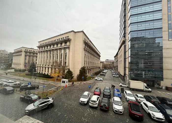 Bright & Beautiful In Prime Location Walk To Everything *